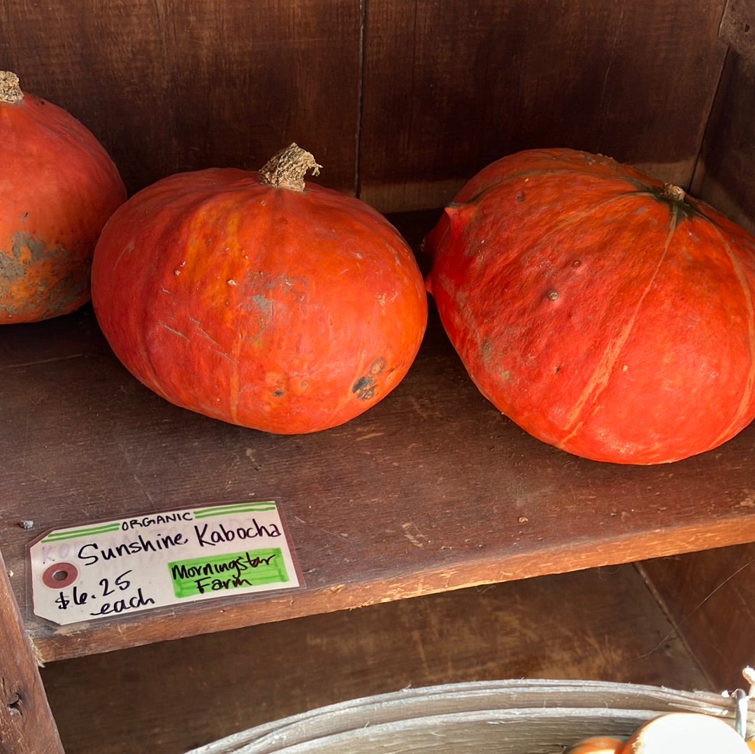 Winter squash New Lebanon Farmers Market & Grocery