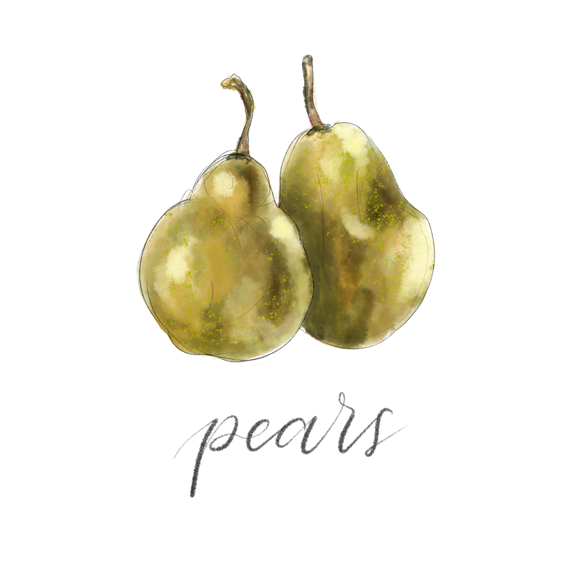 Anjou Pear, Transparent watercolor ground test. I let this …