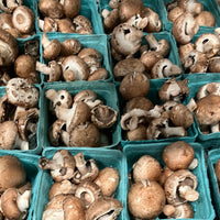 Fresh & dried mushrooms