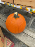 Pumpkins