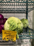 Cabbage