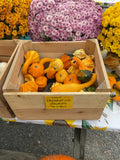 Pumpkins