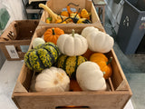 Winter squash