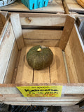 Squash