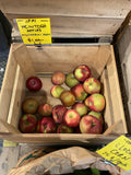 Apples