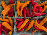 Sweet peppers