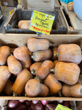 Squash
