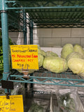 Cabbage