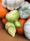 Pumpkins