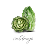 Cabbage