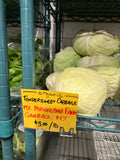 Cabbage