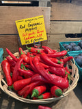 Hot peppers