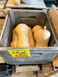 Squash