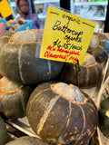 Squash