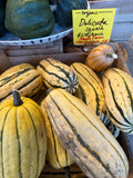 Squash