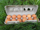 Chicken & duck eggs