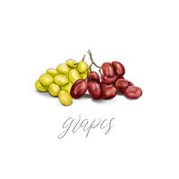 Grapes and Huckleberries