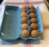 Chicken & duck eggs