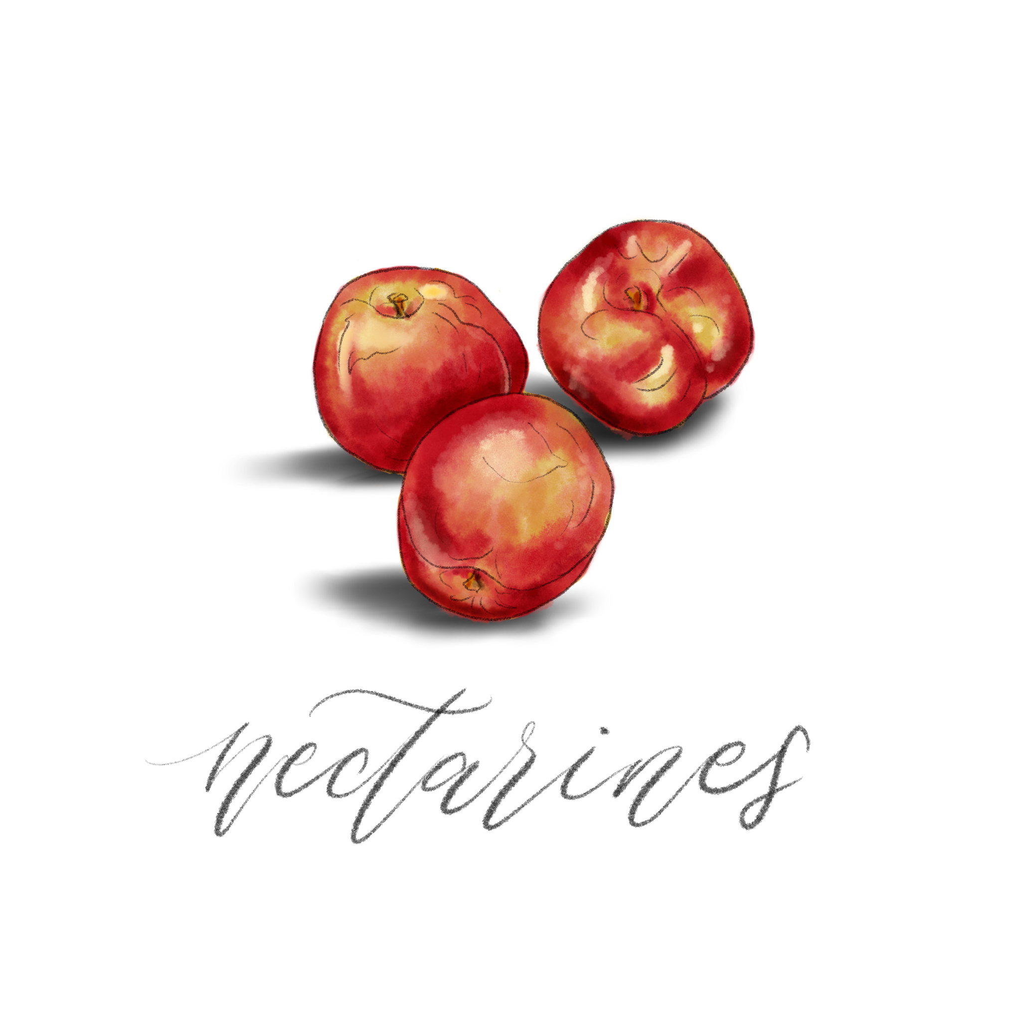 Nectarines New Lebanon Farmers Market & Grocery